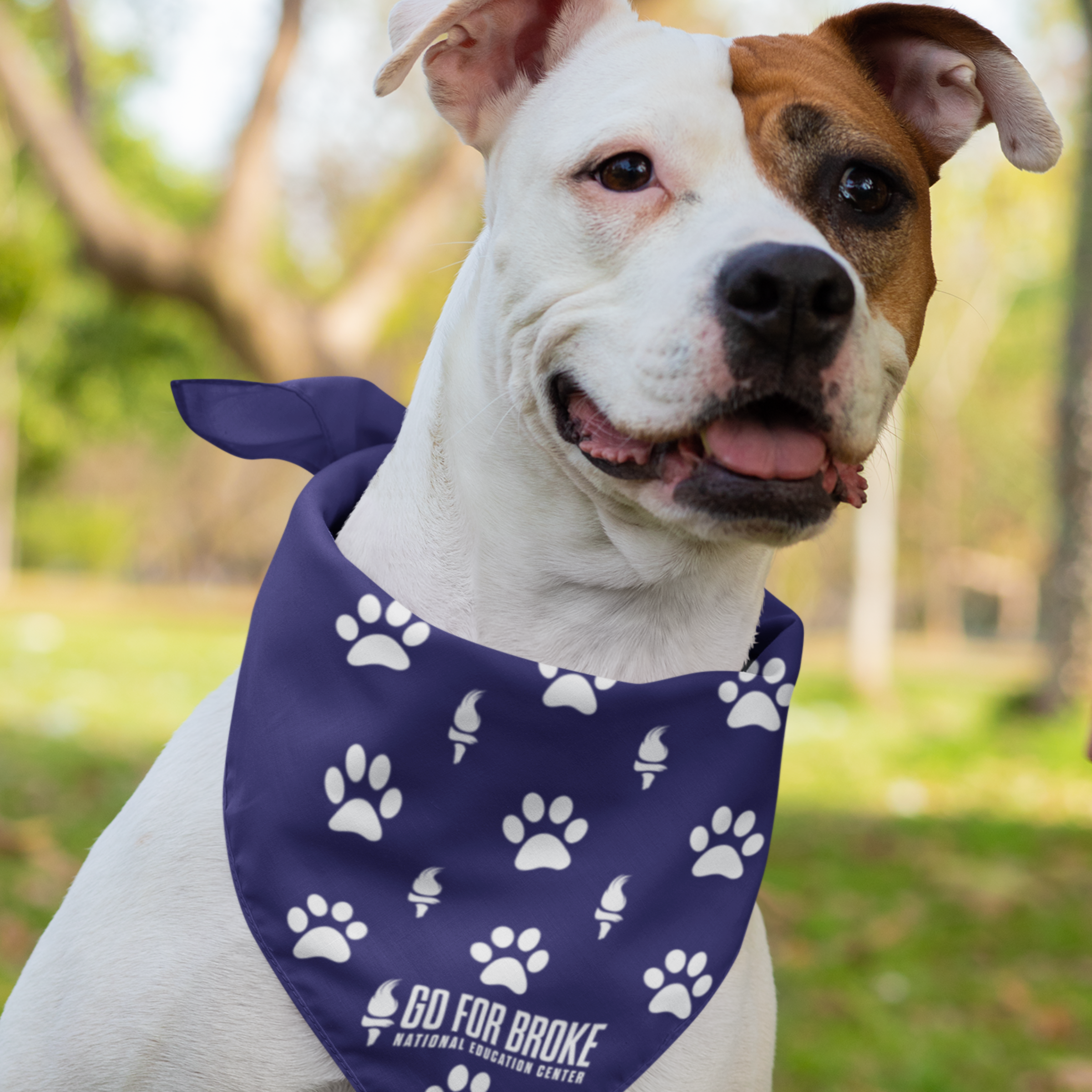 Dog wearing outlet bandana