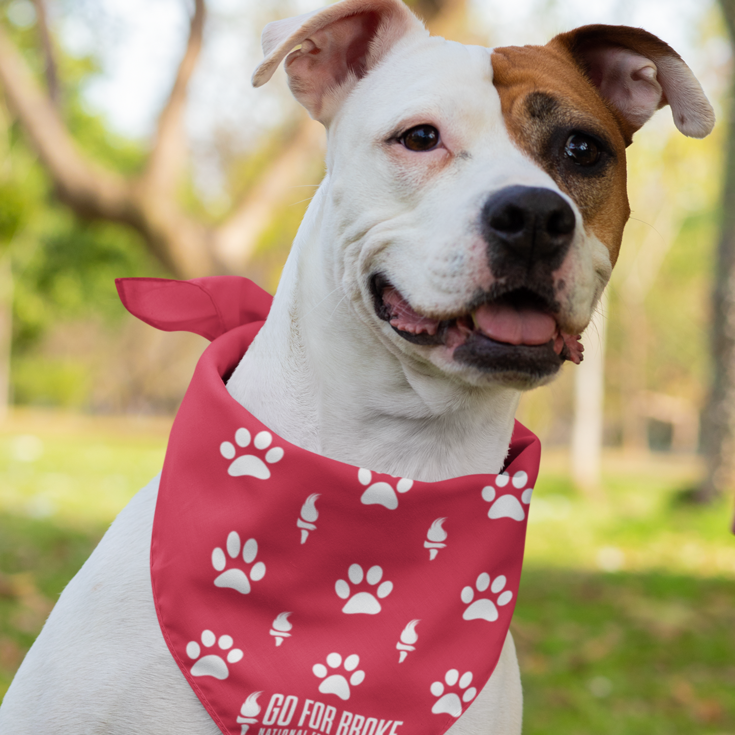 GFBNEC Dog Bandana