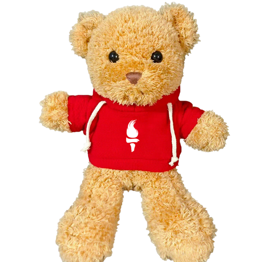 Teddy Bear with Torch Shirt